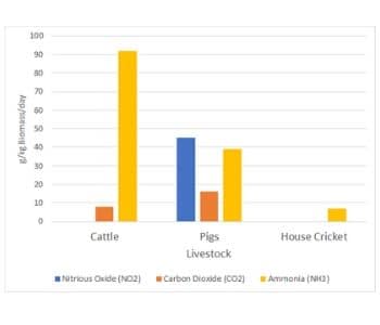 crickets greenhouse emission comparison