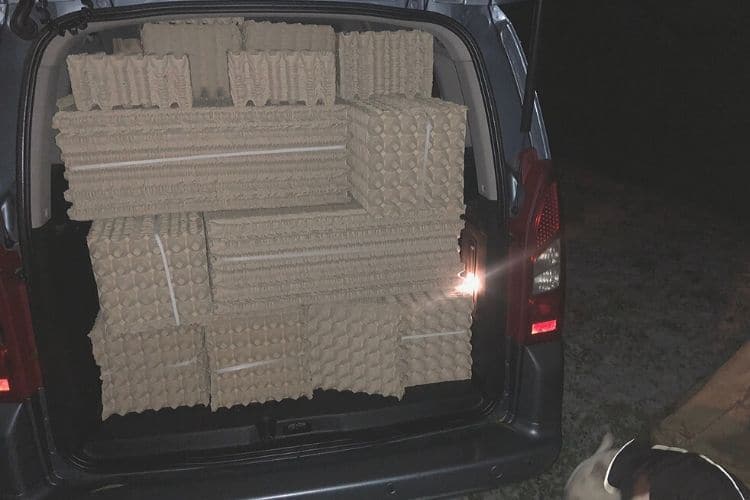 a car full of paper egg trays for crickets